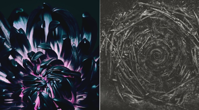NEW DISC REVIEW + INTERVIEW 【THE CONTORTIONIST : OUR BONES, CLAIRVOYANT】
