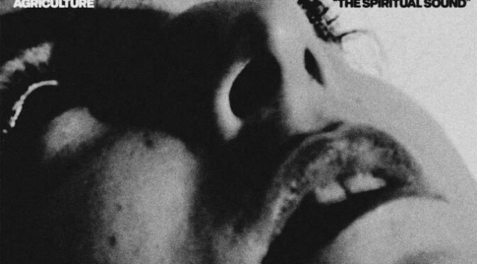 NEW DISC REVIEW + INTERVIEW 【AGRICULTURE : THE SPIRITUAL SOUND】